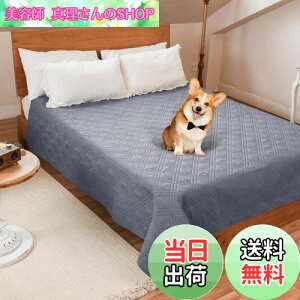 yzLOOBANI hJo[ xbh hV[c VO _u xbh  Lp xbhJo[ h \t@[ hV[c Rh~ ~ ƋveN^[ ۂƐ􂦂 ݑϐ 