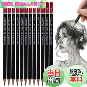 yzPAVIKE M 4b ₷ 12{Zbg c dMʗpM fbTpMvŐc܂ɂ Zp G XPb` ` wƂ̂߂̃A[eBXg