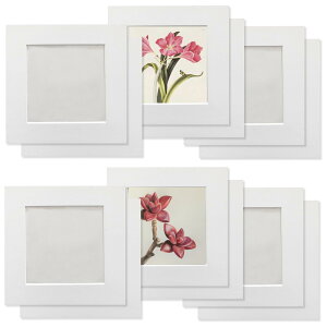 yzHaojiaho y[p[tHgt[ 12Zbg q̊G Wp tHgt[ WTCY8.8*8.8cmyیtB + Ǌ| pSV[g tz  A[gt[ y 