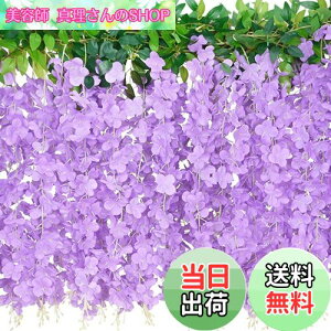 yzLakymisy ̉ 2{  K[h  ӂ̂͂ 10}/{  VN t̏ 뉀 ԗ ̓ ʐ^Be Ǌ| ԏ Xܑp  p[eB[