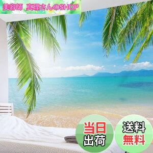 yzLB r[`i^yXg[  Cƞq̖ R CeA t@ubNi  @\Ǌ| _ ʐ^  J[e X v[g j z u[ 200x150cm