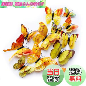 yzULIN  3D  EH[XebJ[ ǎV[  ʃe[v V[ rO ① CeA ǃV[  킢 EH[y[p[ |X^[ CG[