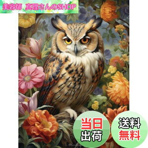 yzReofrey _Ch̊G _ChA[g NXXeb` LbgtNE, Lbg  Sʓ\t^Cv r[YA DIY |Lbgz[ Xg CXg