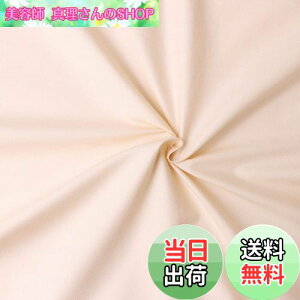 yz{Rtf(Nippon Chuko) GCeBXNGA n n 100% V[eBO N[x[W x[Wn Ж110cm×50cmؔJbg KD4630-103-50CM n nn GCeBXNGA