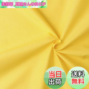 yz{Rtf(Nippon Chuko) GCeBXNGA n n 100% V[eBO CG[ Fn Ж110cm×50cmؔJbg KD4630-209-50CM n nn GCeBXNGA