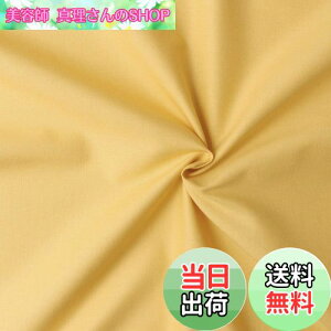 yz{Rtf(Nippon Chuko) GCeBXNGA n n 100% V[eBO Cg}X^[h Fn Ж108cm×50cmؔJbg KD4630-168-50CM