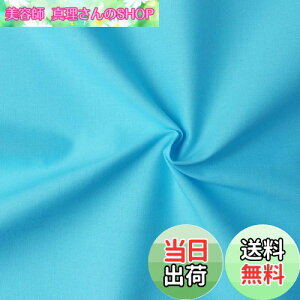 yz{Rtf(Nippon Chuko) GCeBXNGA n n 100% V[eBO ~YC u[n Ж110cm×50cmؔJbg KD4630-244-50CM n nn GCeBXNGA