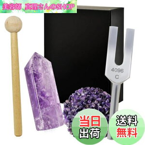 yzNX^`[i[ 4096Hz  VR 򉻗p 5_Zbg bNX {t AWXg WH26 - Purple