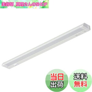 yzI[d@ LEDC[uCgXړI RZg dF 10W 558mm o[Cg XCg jb`Cg Lb`Cg I LT-NLES10L-HN 06-4031 OHM