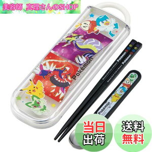 yzXP[^[(Skater)  Xv[Zbg R |PbgX^[ 23N { CCA1AG-A