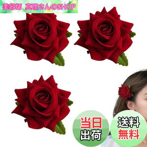 yzDoyime ỏԁy3{ZbgzKNt[RT[W Ԕ 傫ȉԂ̃u[` ԉ wbhhX   uC_ wbhhX _[Nbh