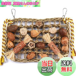 yzKito Lee o[hgC CR  ObY ̗Vя ݉^Cvߋ ZLZCCR IE ނ ފߋ VRS