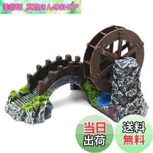 yzCharmoon ANAE ۋ   a B VF^[ A  IuWF