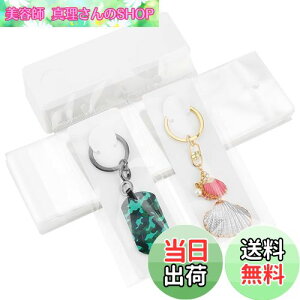 yzPH PandaHall 䎆 uXbg L[z_[p 100 OPPܕt L[O Wp  WJ[h n ANZT[p[c ̔p WG[p nhCh ifBX