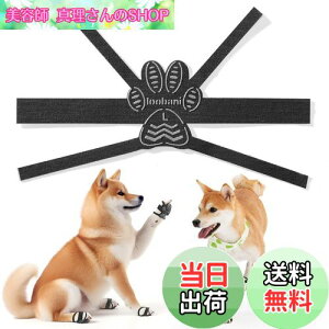 yzyǃo[WzLOOBANI  ~      Ȃ V  ~ V[ ̍bɉ񂷑т̃fUC ϋv S͂ ~  ی h~ ׂ ~