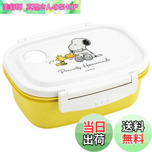 yzXP[^[(Skater) Ny y ٓ M 550ml WΉ V[e ۑe Xk[s[  { XPM4-A