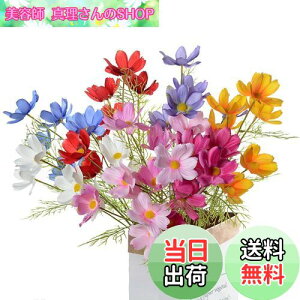 yzsiawadeky RXX K[x  7{Zbg lHԑ F  ԑ A[gt[ ͂Ȃ VN tFCNt[ Ԃ̉ԑ K[x lHϗtA Ce