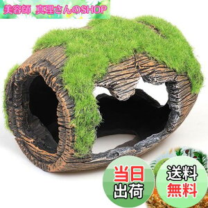 yzPAVIKE  B E[p[[p[ _J  GrB ۂނCM  CAEg ANAE  IuWF  I[ig   ^ u  ߋ 