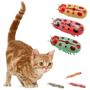 yzKASELIN d  3Zbg drL񂨂 dCybĝ  L ߋ lV QԂ@\ Cat'sbug! ĂƂ ~jdqJugV LpC^N