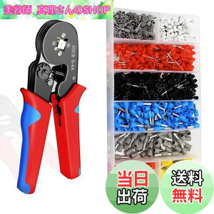 �y���������zKASELIN �����y���`�Z�b�g �Y�f�| �t�F���[�������H�� 0.25-10mm? �≏�[�q �t�F���[���[�q�t�� �����\ 1200 PCS �G���h�X���[�u DIY�y���` ���� �s�v ���C���[�G���h�X���[�u �d��