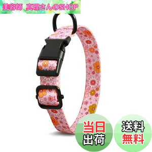 yzBaoCheng   P ^ ^ ^ P݌y TCY\ y Ȃ ʋC ȒPE  S p P s⏕ U  Lʗp (s