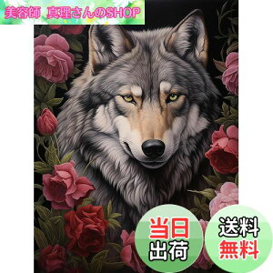 yzReofrey _Ch̊G T, _ChA[g NXXeb` Lbg , Lbg Sʓ\t^Cv r[YA DIY |Lbgz[ Xg CXg[ 