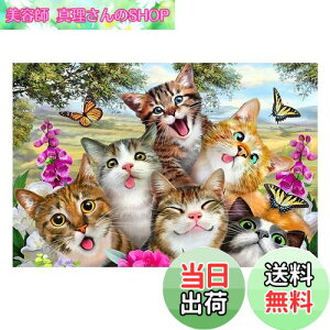 yzJISHSHAY _ChA[g L 50x40cm _ChA[g Lbg r[YA[g _ChA[g  DIY _ChA[g  5D _ChA[g  lC Lbg 