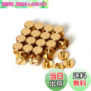 yzVJSXN[ 20 8×4×3mm ^JglW R` obO xg т傤 xbg X^bY p[c e xbg X^bh lW U[Ntg DIY nhCh p[