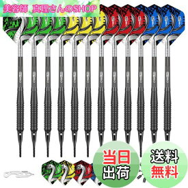 【送料無料】Cyeelifeソフトチップダーツ12点,プロ18グラムプラスチックチップダーツセット、13個の透明PC軸100個のエクストラダーツチップ16個のダーツ2個のフライトプロテクターと電子ダーツレンチ付き