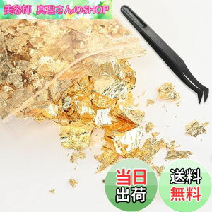 yzBEIHOO  wAp 10g sZbgt zO lCp V[g t[N ͑  l  Ǝ WFlC ZtlC DIYWG[ H|i W 