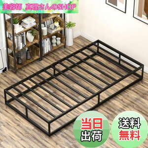 �y���������z[�ω׏d300kg]�x�b�h�t���[�� Holdm �p�C�v�x�b�h �É� �V���O���x�b�h ���̂��x�b�h�����[ �ϋv�� �ʋC�� �g���ȒP �H��t�� ���^���x�b�h (�V���O���E �u���b�N)