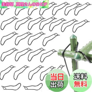 yzBenRan ؉NXoh 30{ | x 16mm 20mm ؉ _ xŒ WCg p[c (A)