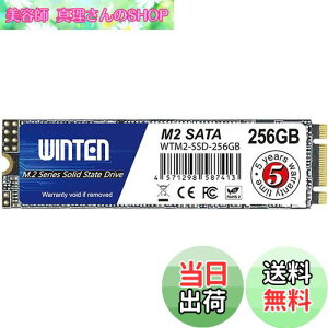 yzWINTEN SSD M.2 SATA 256GB 2280 3D NAND SATA3 6Gb/siőǎ 500MB/s ő发 500MB/sjG[@\ ȓd Ռɋ ^yzWTM2-SSD-256GB 6083