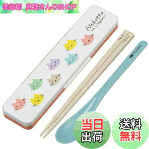 yzXP[^[(Skater)  Xv[ RrZbg 18cm RۉH ٓ lp VRNbVtŉȂȂ { ˂ Jt CCS3SAAG