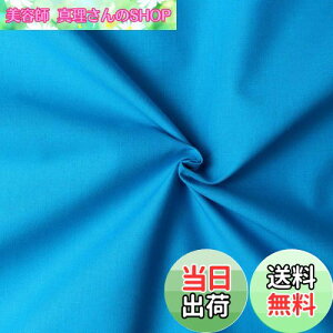 yz{Rtf(Nippon Chuko) GCeBXNGA n n 100% V[eBO ^[RCY u[n Ж108cm×50cmؔJbg KD4630-247-50CM