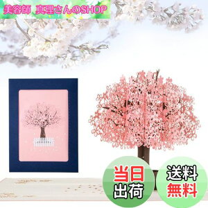 yzKesote bZ[WJ[h  ̃J[h |bvAbvJ[h o^C    t