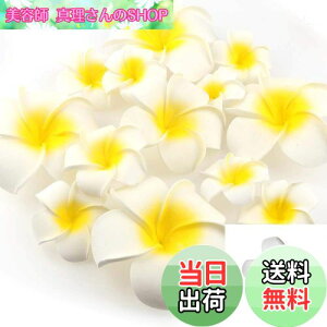 yzYesallwas wA Nbv s vA  7cm 20Zbg Ԃ̂  wA Nbv s vA   DIY  p[eB[p t ʐ^Be