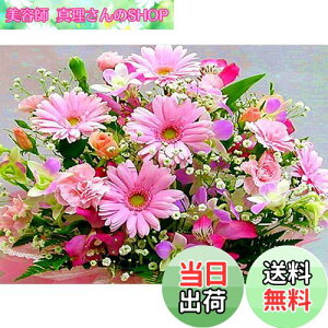 yzDIYNXXeb`Lbg_ChG5DhLbgAsN̔WOWDECORthDIY_ChA[gyCgG (t[Y)