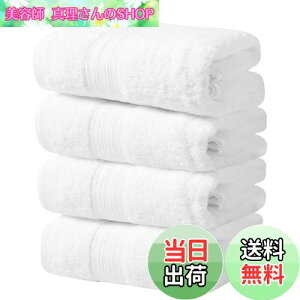 yz100%  4 zeX^C oX^I Zbg ^I Rbg lC ӂӂ ̔G z (oX^I, )