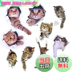 yzPazi EH[XebJ[ L   XebJ[ ˂ V[ 킢 3D ȒP DIY  \Ă͂  ǎ gC  Lb` CeA