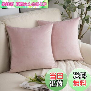 yzPhantoscope NbVJo[ xxbg 2Zbg Vv zcJo[ n Gǂ xA xr[sN 45×45cm