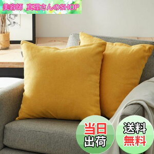 yzTopfinel NbVJo[ lۂ 45×45cm k  Ȗ n \t@w Jo[ zcJo[ CG[ 2ZbgiS10Fj