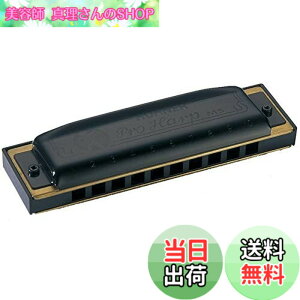 �y���������zHOHNER PRO HARP/D �v���n�[�v 10�z�[���n�[���j�J
