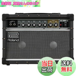 yzRoland/JC-22 [h M^[Av WYR[X 30W