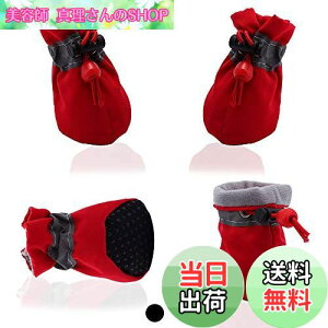 yzAblePetLu[c\tgV[Y~߃u[cA߉\ȃXgbvƔ˃XgbvtA^p̃v~A|[veN^[i4j(ԂF,6)