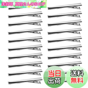 �y���������z�w�A�N���b�v ��30���� �w�A�s�� ������ ���� �w�A�A�N�Z�T���[ �p�[�c �V���o�[ DIY �z�r�[ �Ɩ��p ��l �q�� �F�F�V���o�[�A�T�C�Y�F5.5cm