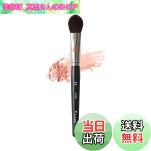 �y���������z�p�E�_�[�u���V �F�FPONY14