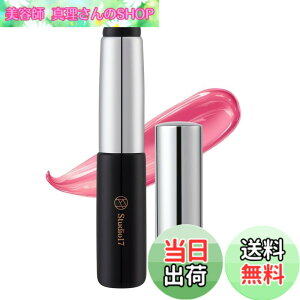 �y���������zStudio17�i�X�^�W�I17�j SILICONE LIP BRUSH�i�V���R�����b�v�u���V�j �F�F�u���b�N