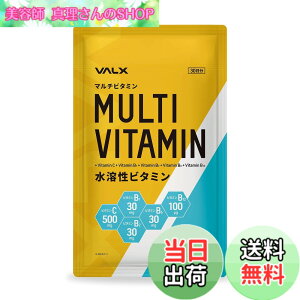 �y���������zVALX �o���N�X �}���`�r�^�~�� ���n���r�^�~�� �T�C�Y�F1��
