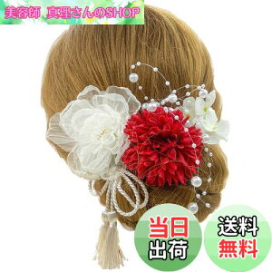 yzyJZOON z 6_Zbg wAANZT[ wACN hCt[ Us wAs    Ȍ a    VtH{̉Ԃт z F